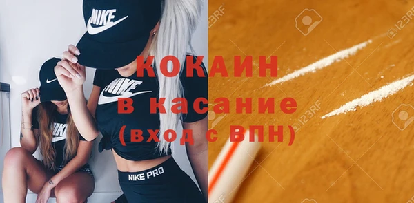 дмт Осташков