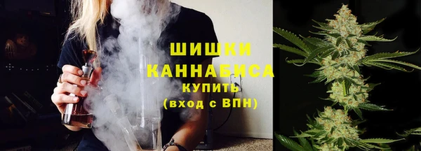 дмт Осташков