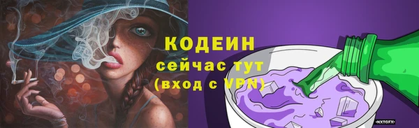 бошки Няндома
