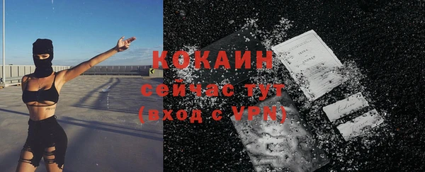 дмт Осташков