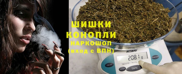 дмт Осташков