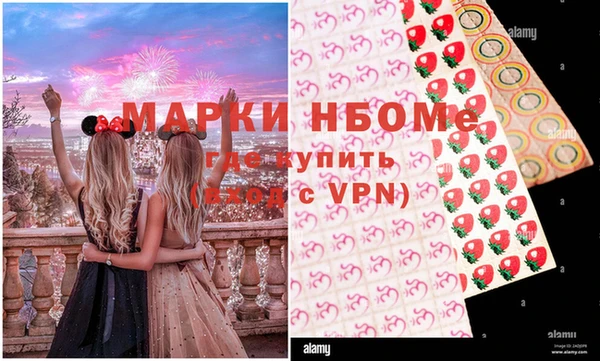 бошки Няндома