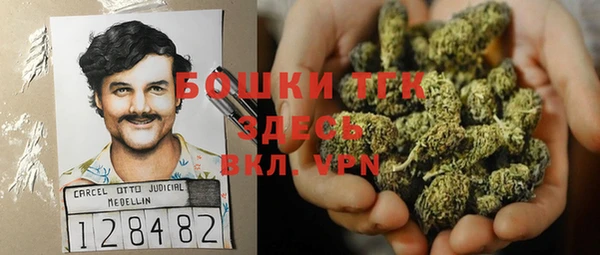 бошки Няндома