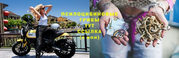 мет Нязепетровск