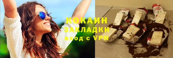 дмт Осташков