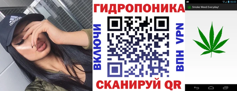 Бошки Шишки Bruce Banner  Покачи 